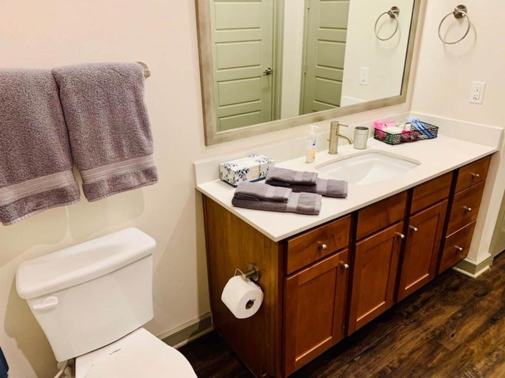 Downtown Apt Free Parking - Pool - Gym - Fully Kitchen Houston Extérieur photo